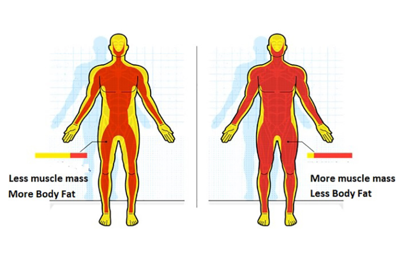 bmi